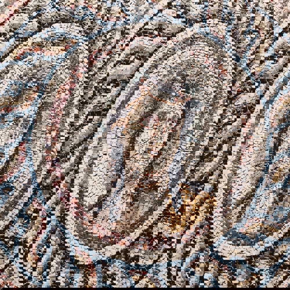 Gaziantep Zeugma Mosaic Museum
