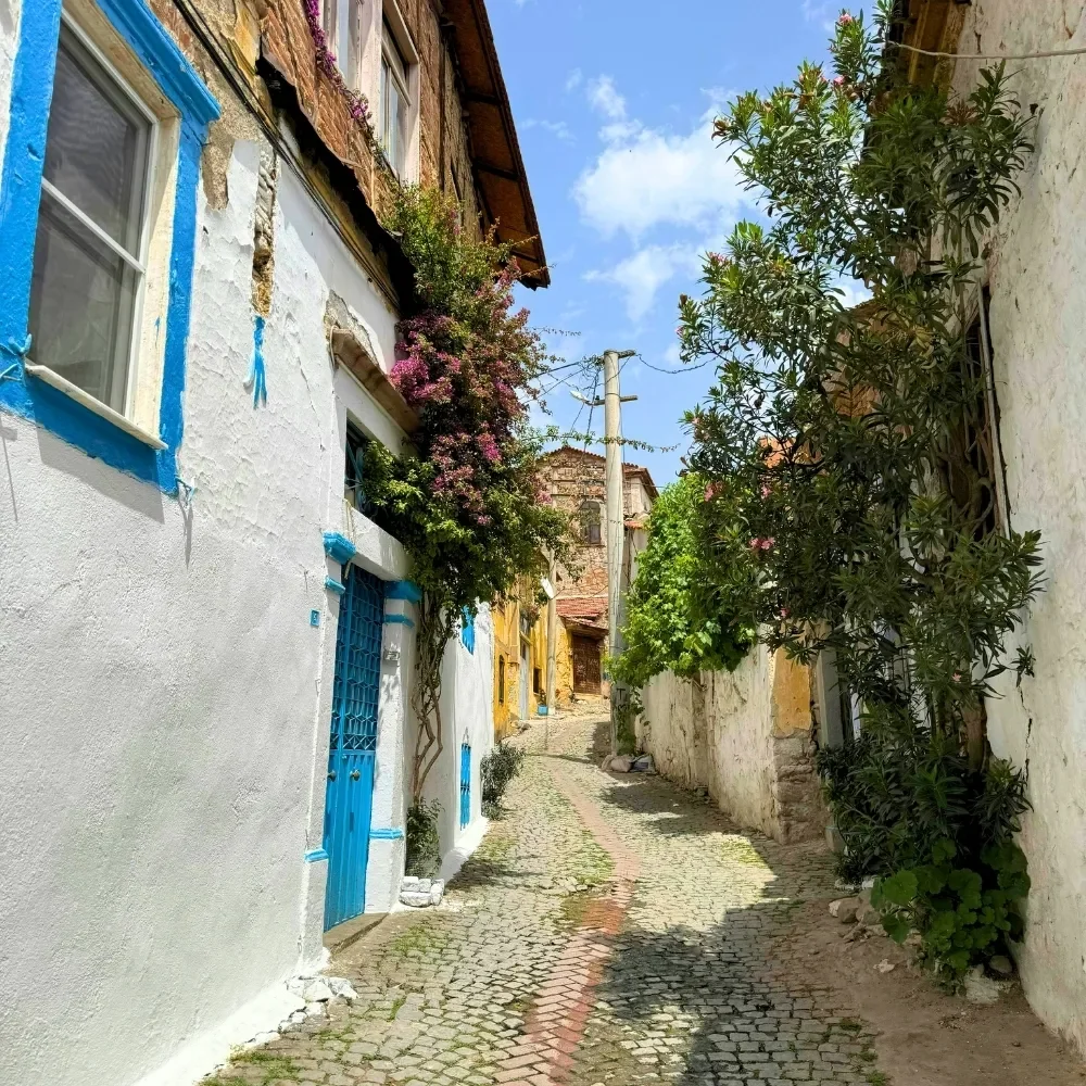 Ephesus & Sirince Village Tour from Kusadasi Port