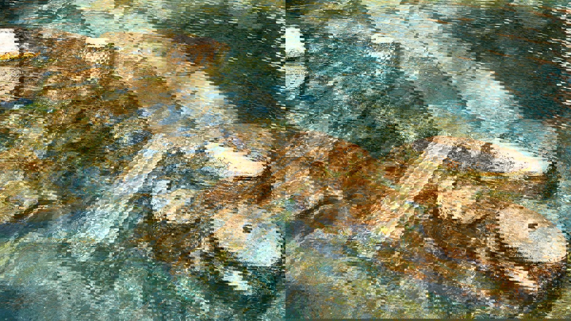 Cleopatra Pool in Pamukkale