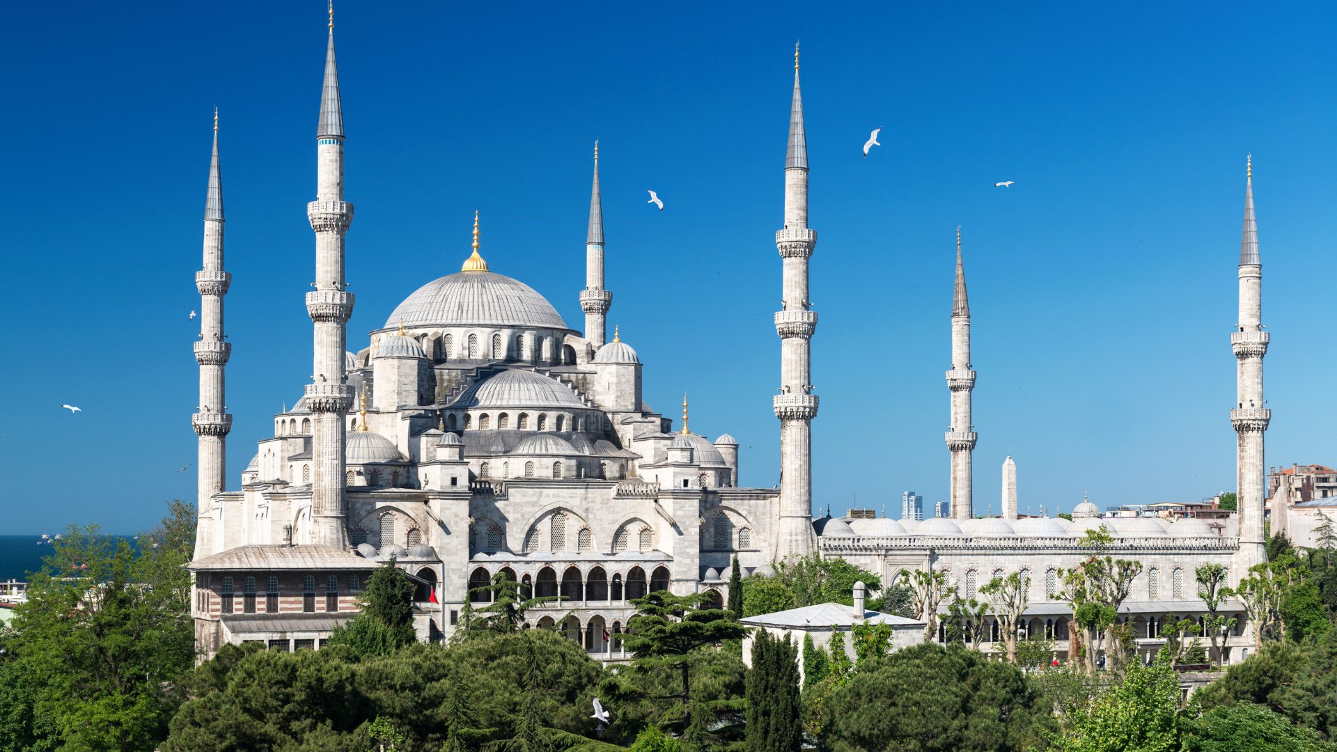 Small Group Tour: Best of Istanbul Blue Mosque