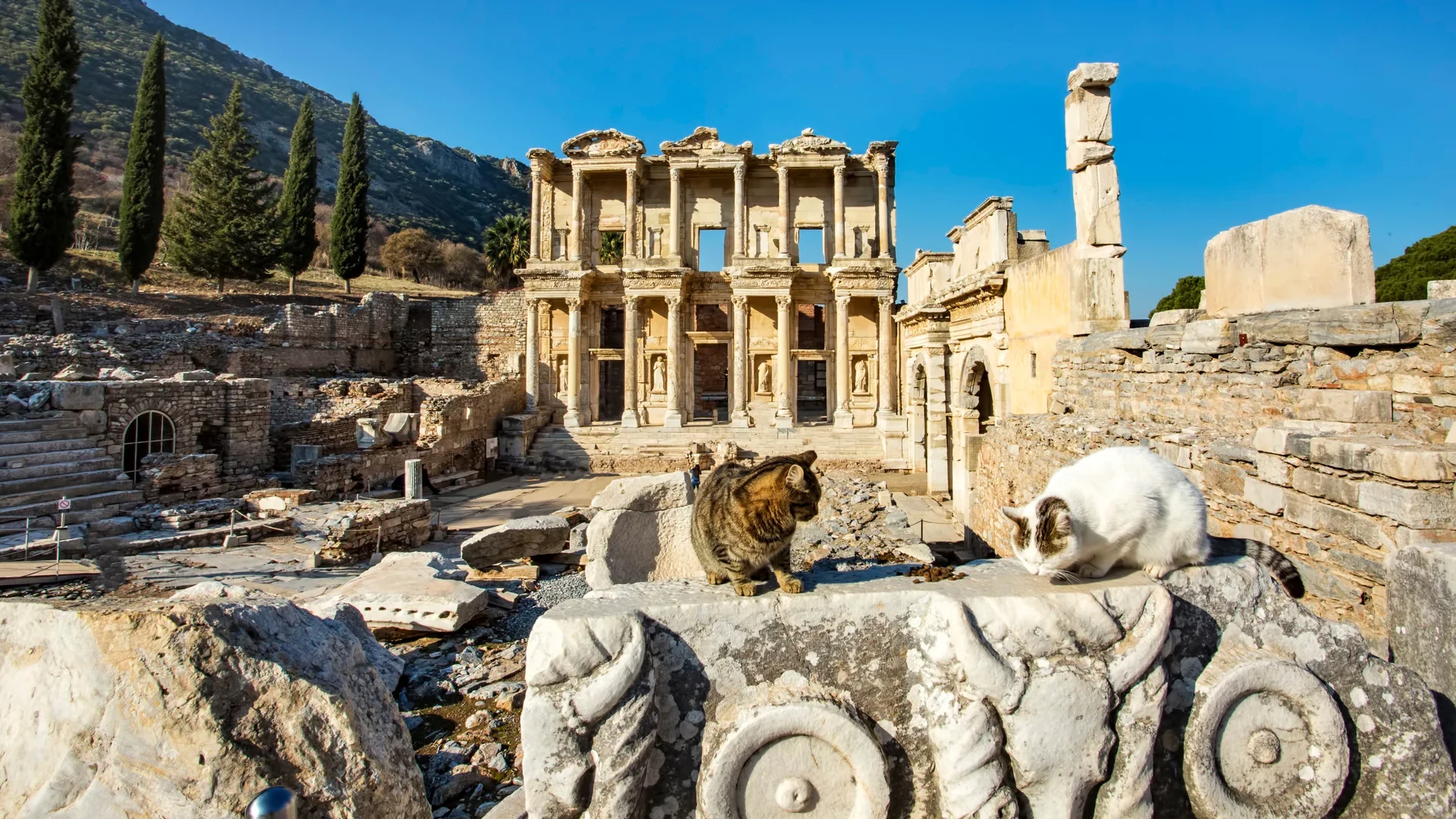 How to Visit Ephesus from Port: A No-Stress Guide for Cruisers