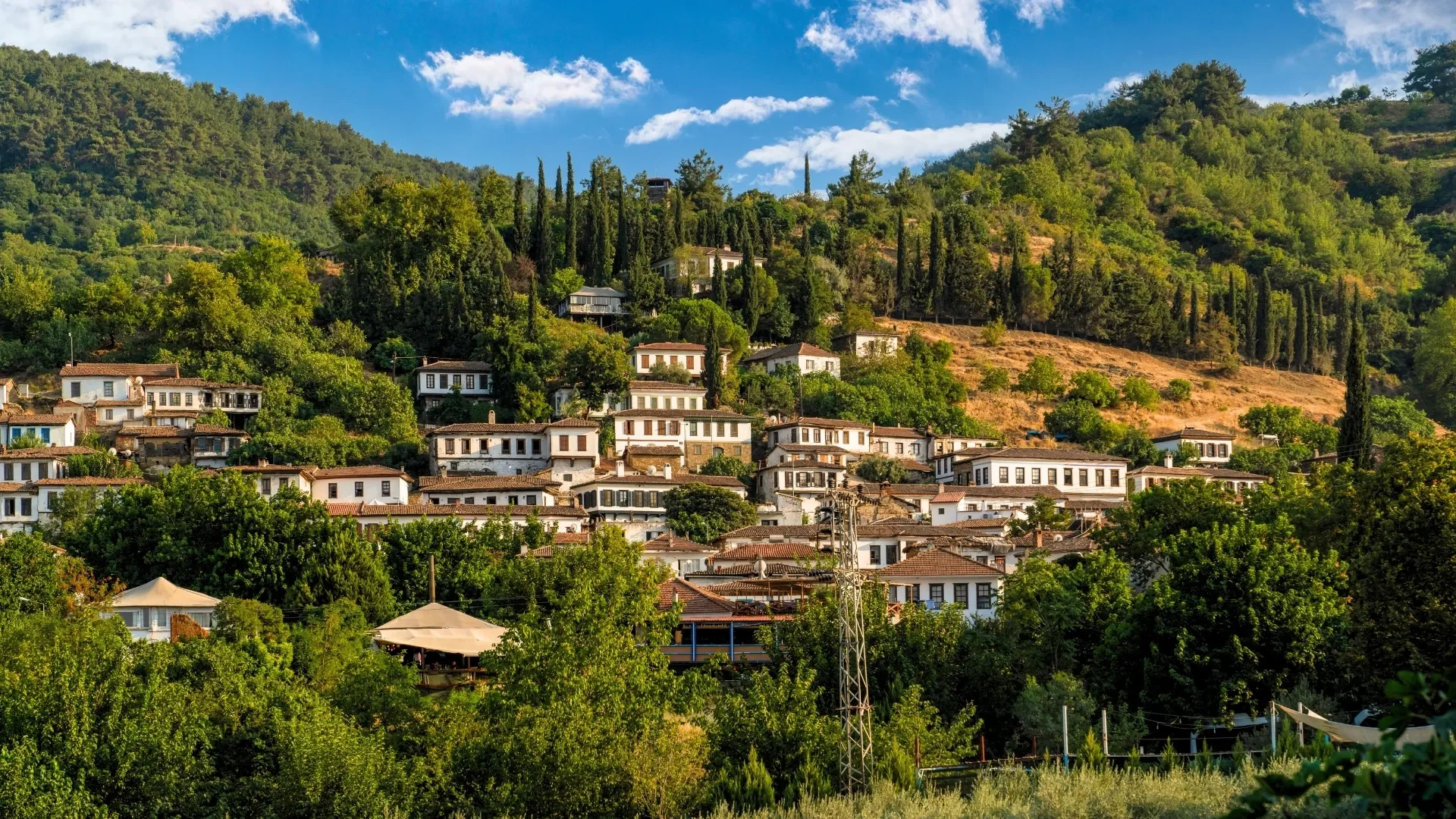 Ephesus & Sirince Village Tour from Kusadasi Port