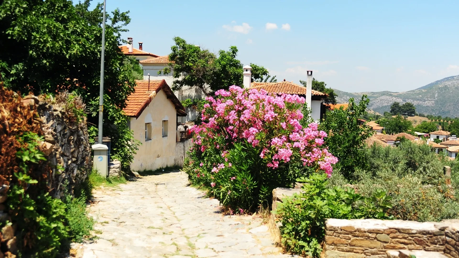 Ephesus & Sirince Village Tour from Kusadasi Port