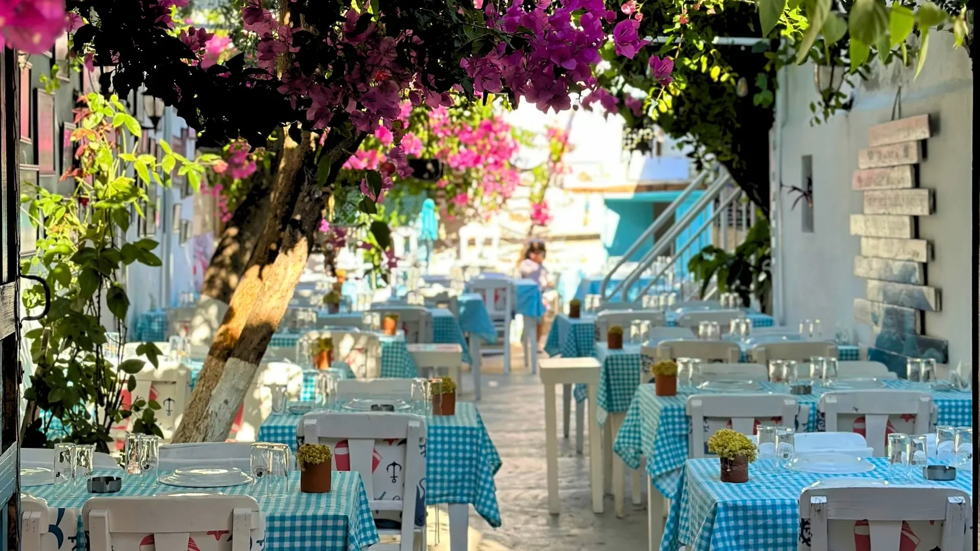 Ephesus & Sirince Village Tour from Kusadasi Port