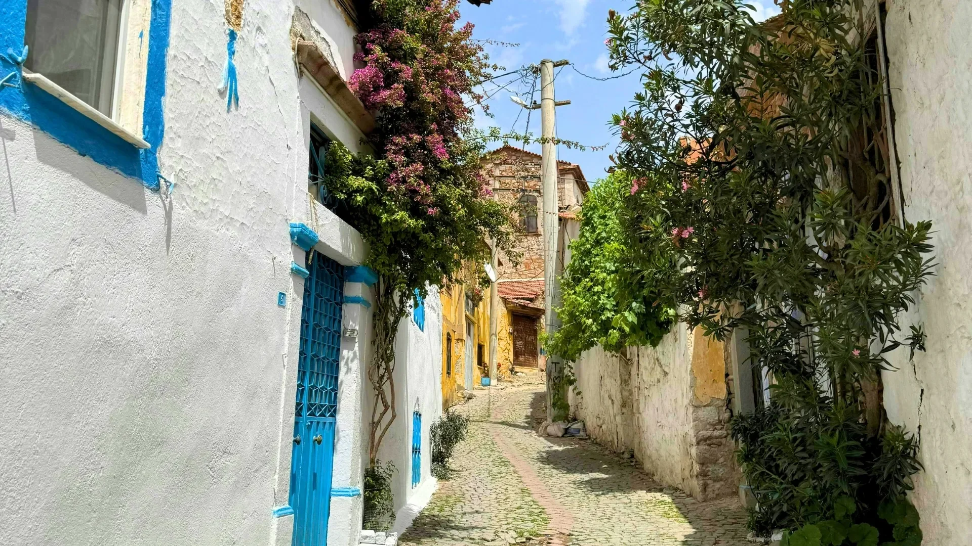 Ephesus & Sirince Village Tour from Kusadasi Port