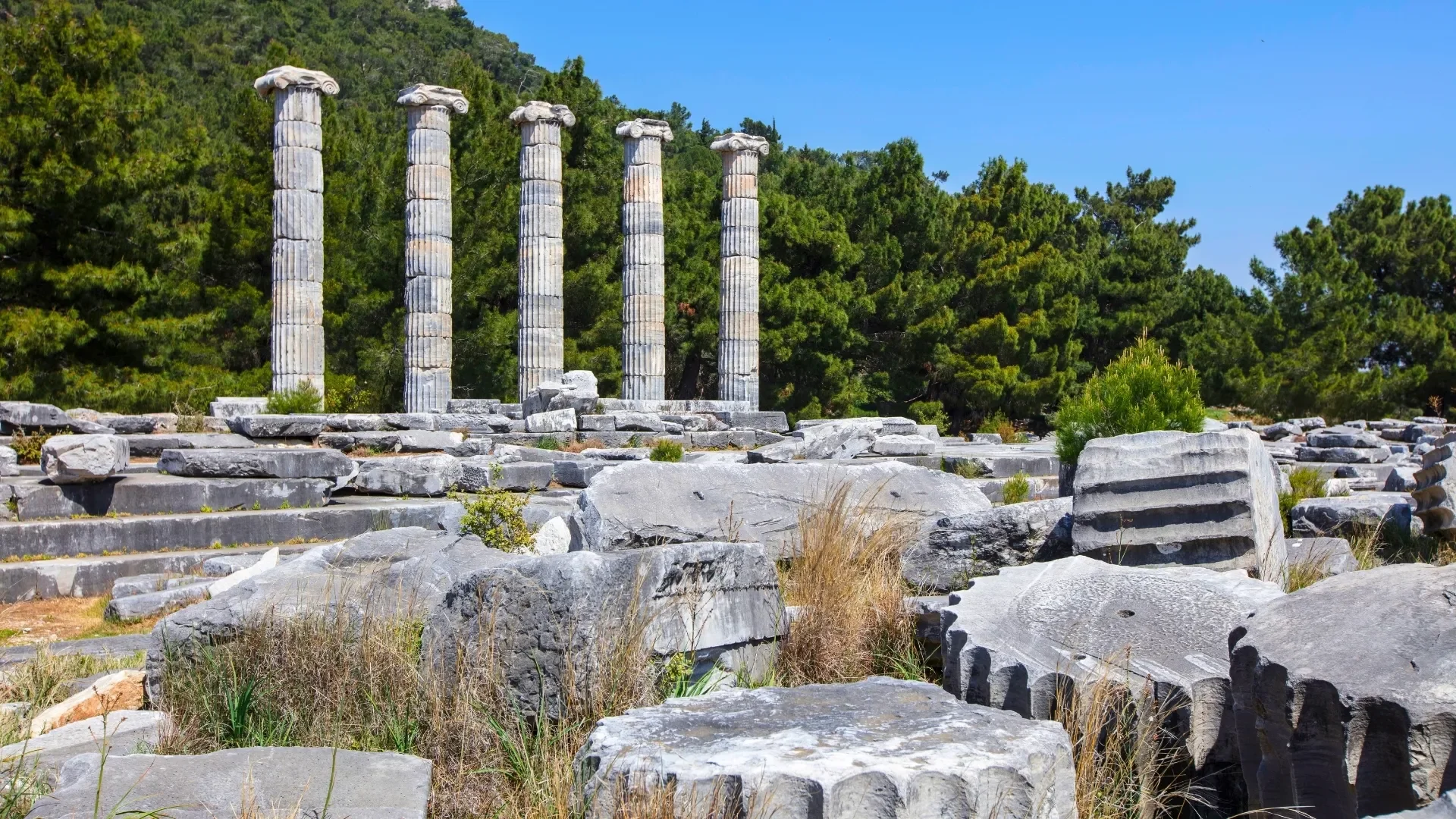 Priene Ancient City Tour from Bodrum Port