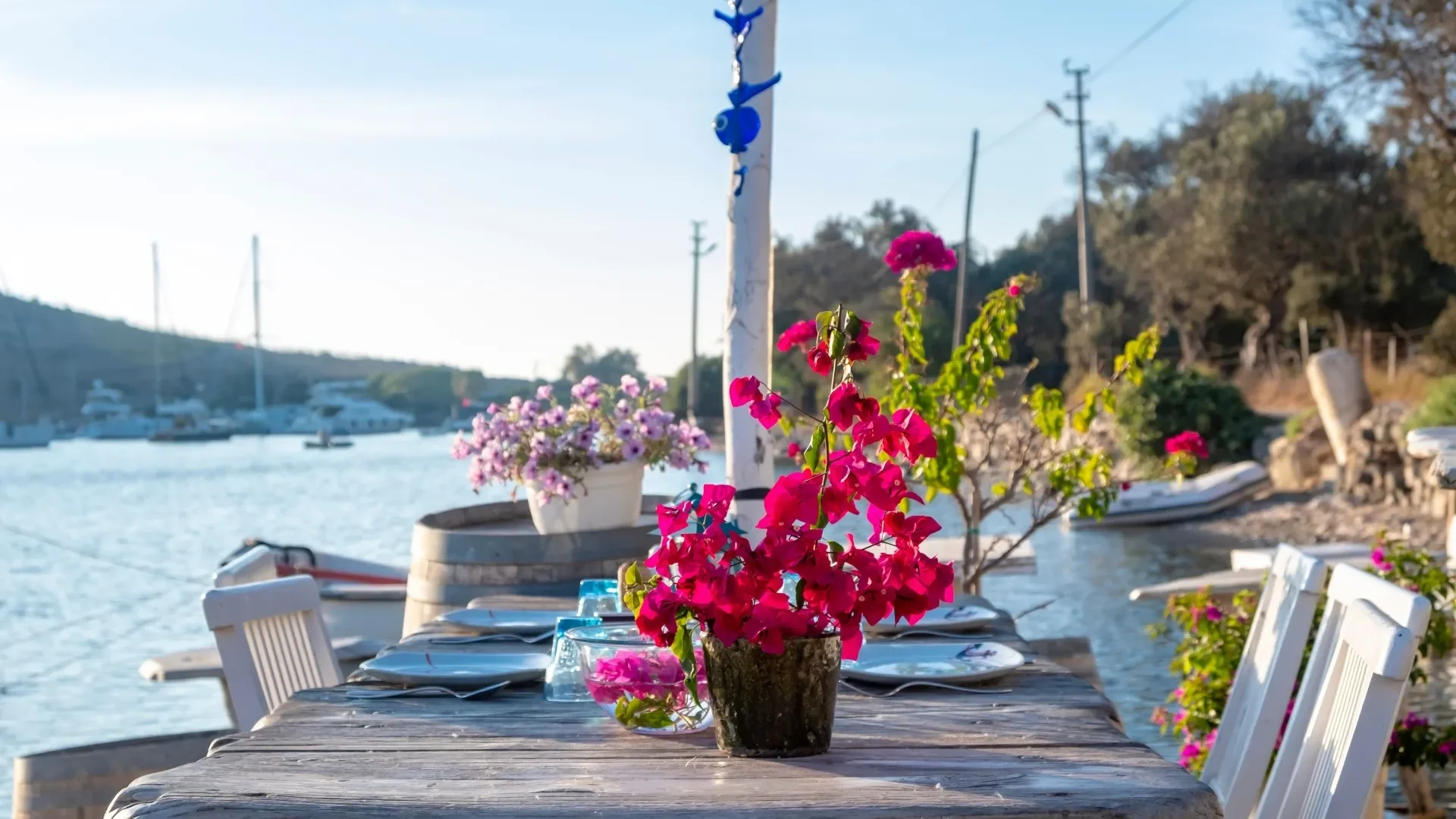 Private Bodrum Peninsula Tour from Port