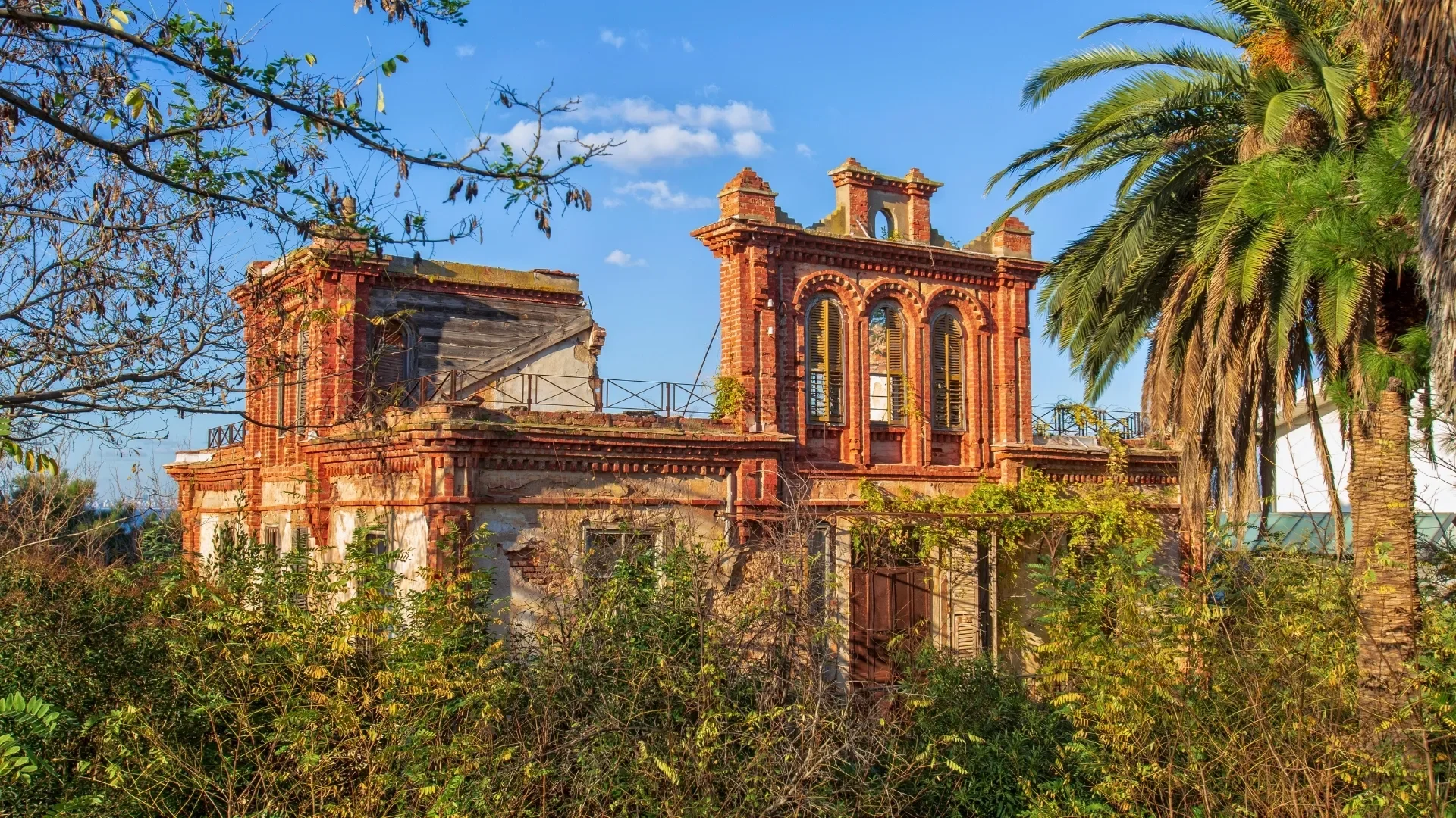 Explore hidden historic mansions on a Büyükada private walking tour, surrounded by palm trees, lush gardens and the timeless atmosphere of the Princes’ Islands.