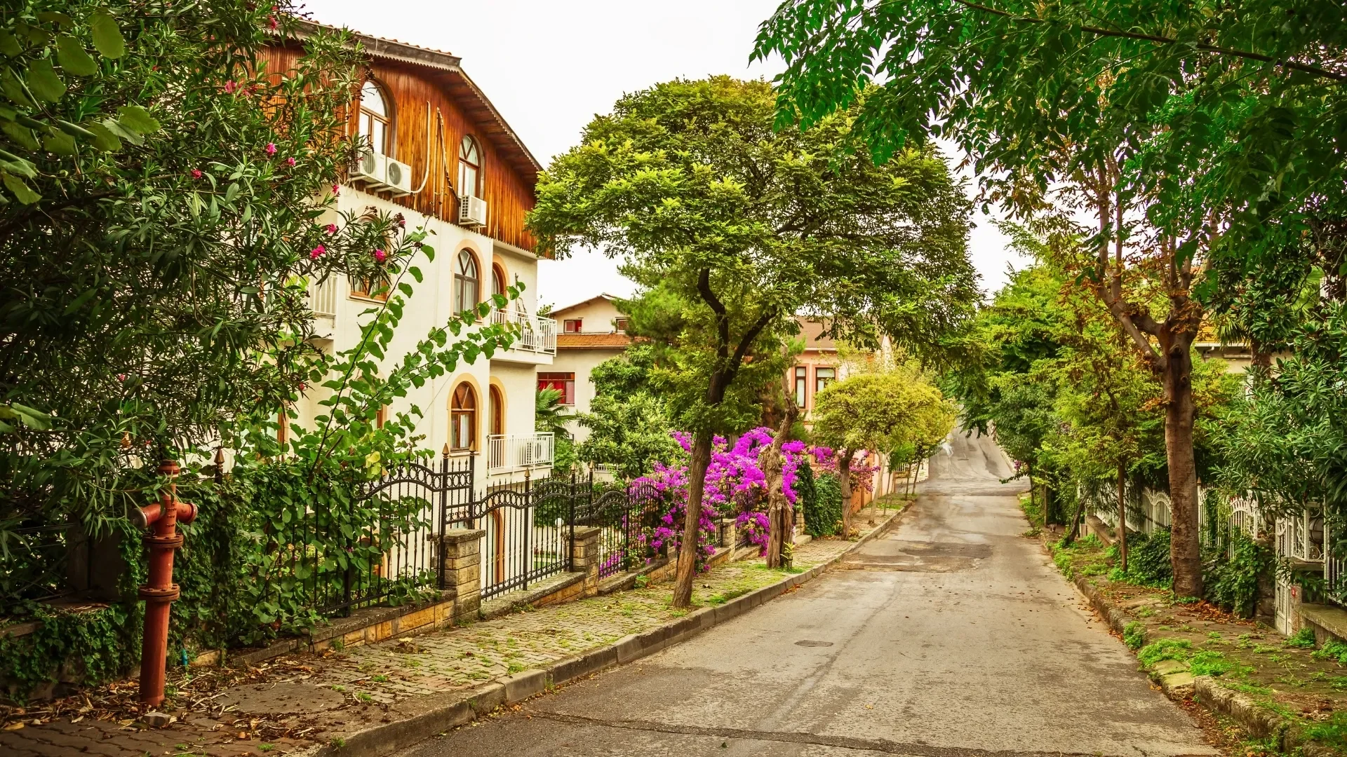 Enjoy a peaceful Büyükada walking tour from Istanbul through quiet island streets lined with wooden houses, flower gardens and charming local architecture.
