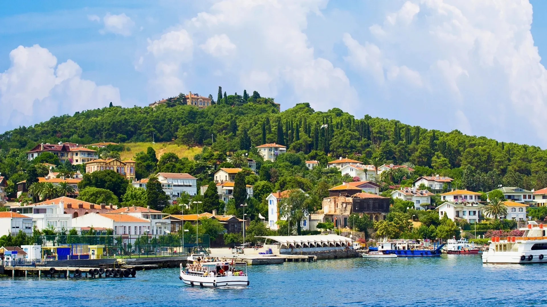 Experience a Princes Islands waterfront tour with colorful seaside houses, charming boats, harbor views and green hills on one of the best island day trips from Istanbul.