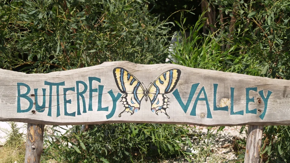 Butterfly Valley(1)