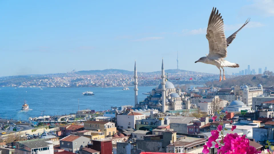 Istanbul (6)