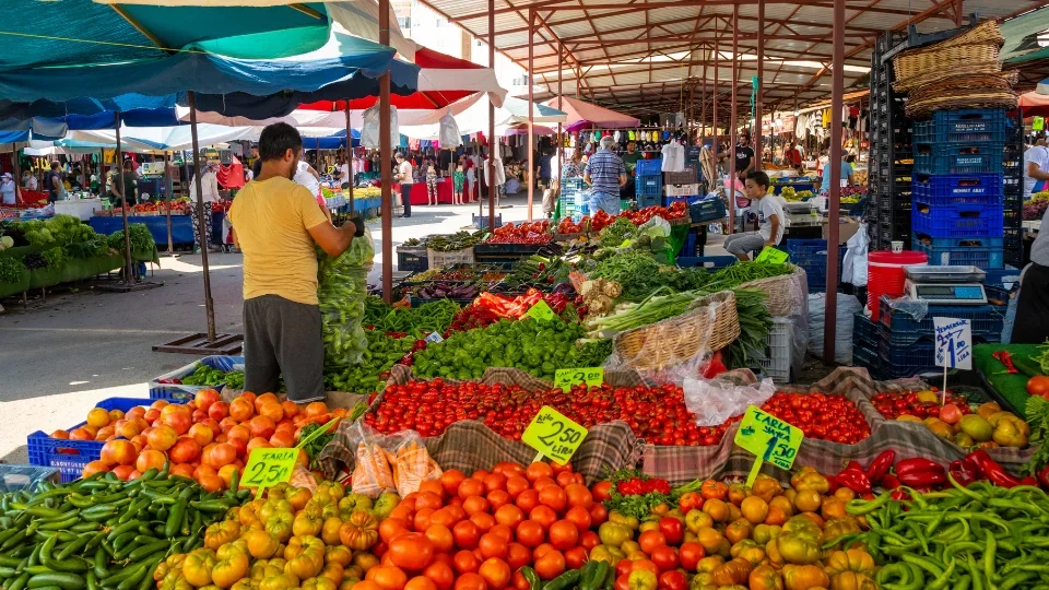 Local markets (3)