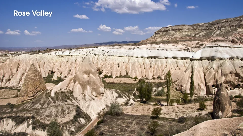 Rose Valley (4)