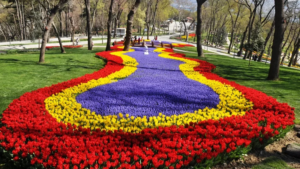 Tulip Festival (1)