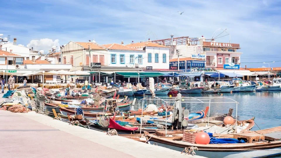 Urla (2)