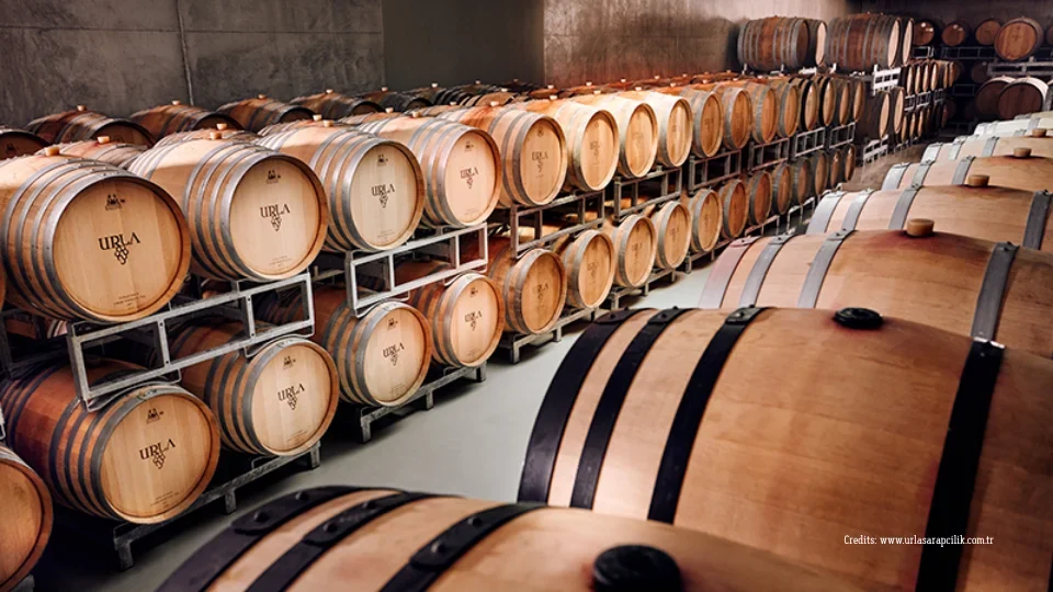 Urla Winnery (2)