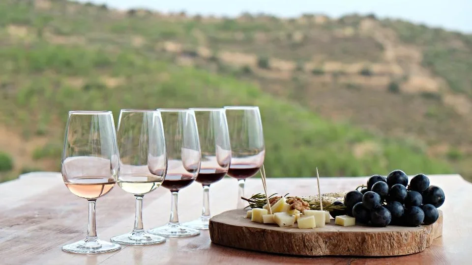 Wine Tasting (4)