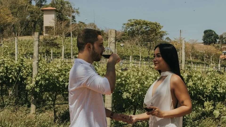 Wine Tasting (5)