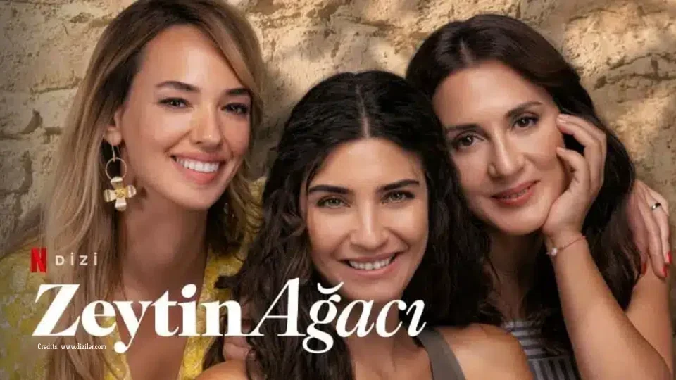 Zeytin Agaci (6)